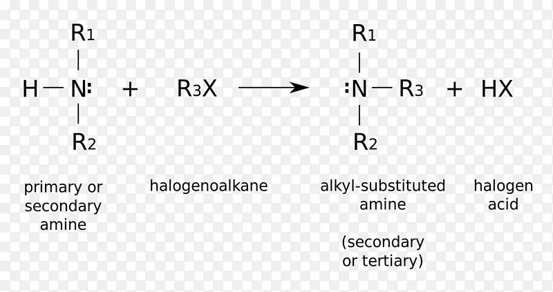 烷基化正丁胺有机化学官能团加尺寸