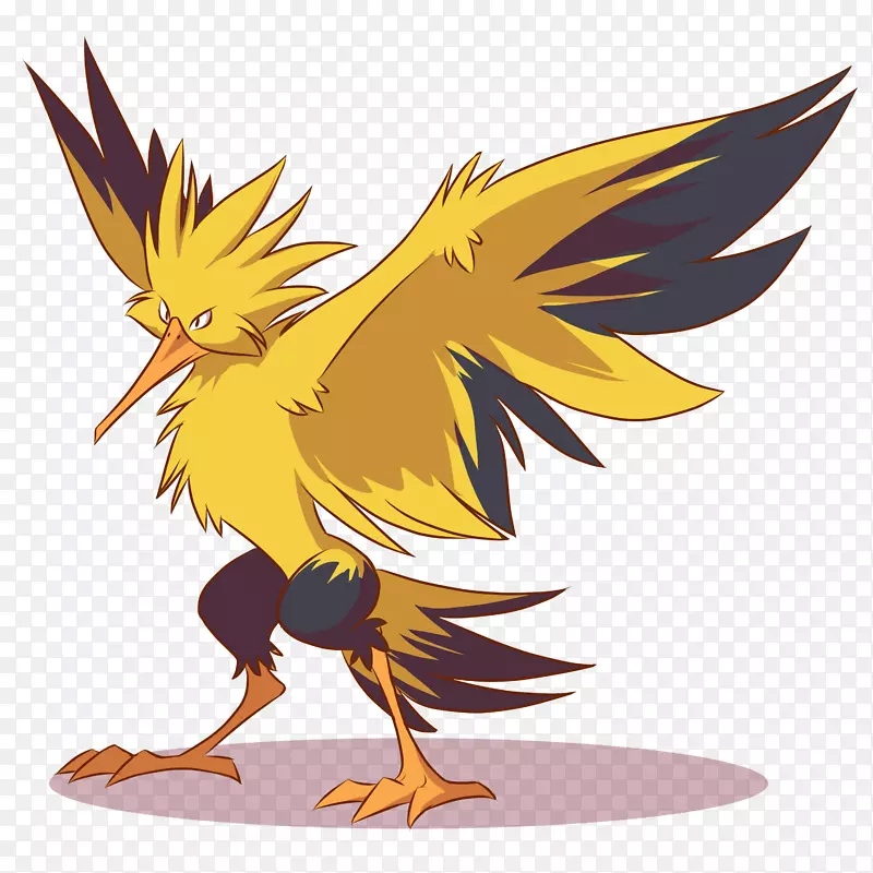 Zapdos moltres口袋妖怪拉图-Pokemon