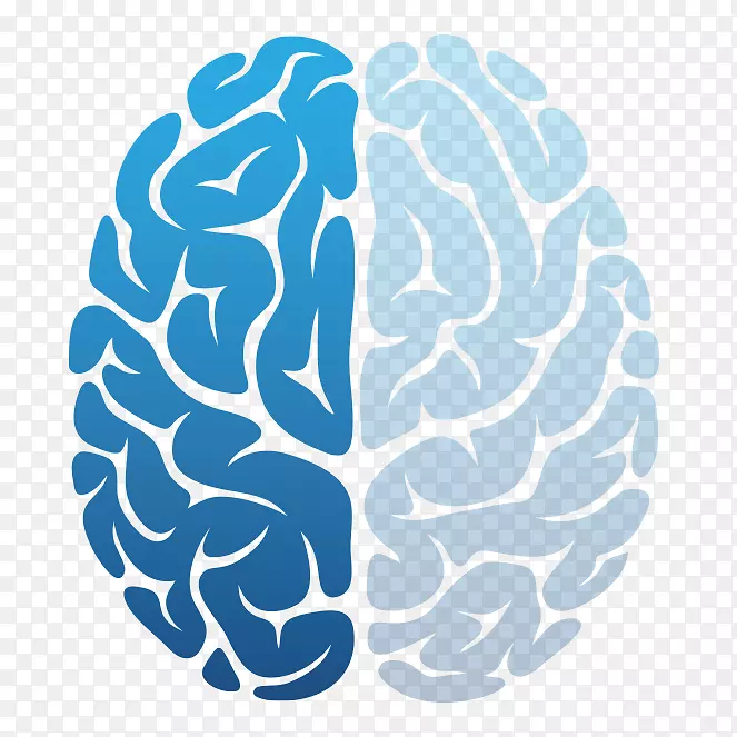 脑肿瘤神经技术大脑半球神经系统的发育-脑
