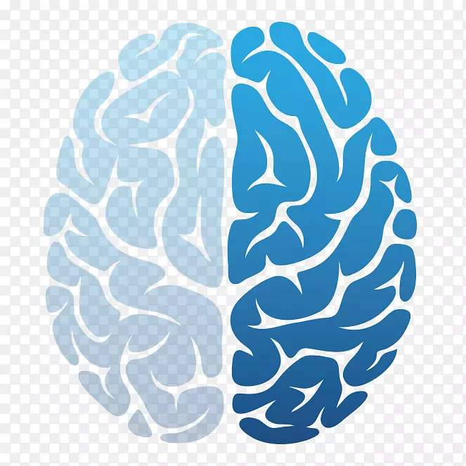 脑神经技术治疗业务大脑半球-脑