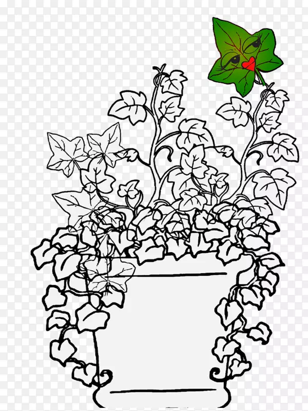 花卉设计视觉艺术叶植物茎-Edera
