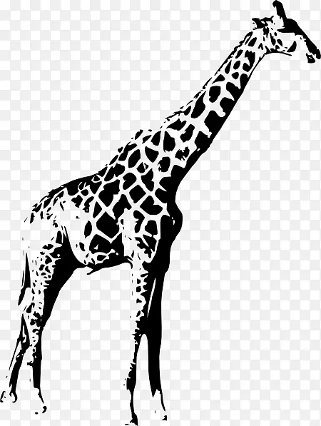 长颈鹿动物剪贴画-黑色长颈鹿