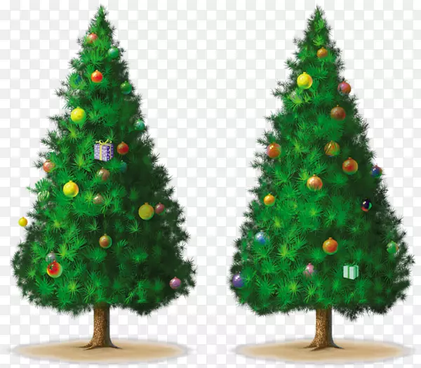圣诞树画云杉-圣诞树