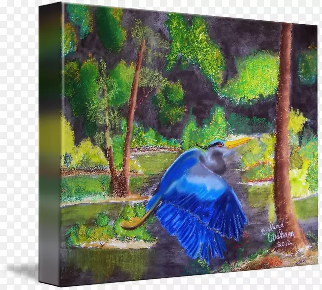 马约瑞尔花园喙，马约瑞尔蓝生态系统动物群-绘画
