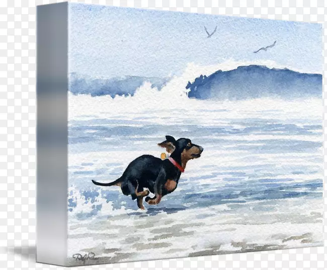 达克斯犬繁殖水彩画艺术