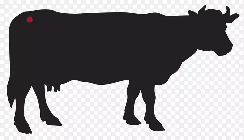 泽西牛、荷斯坦牛、弗里西亚牛、乳牛、牛