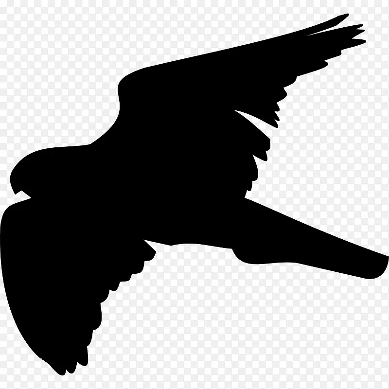鸟类电脑图标白鹰剪贴画-鸟