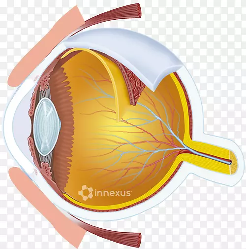 人眼护理专业光视觉-眼睛