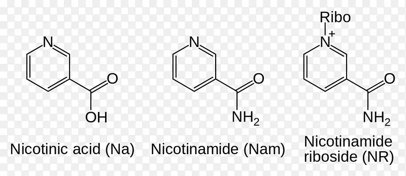 烟酰胺腺嘌呤二核苷酸烟酰胺核苷辅酶-nền