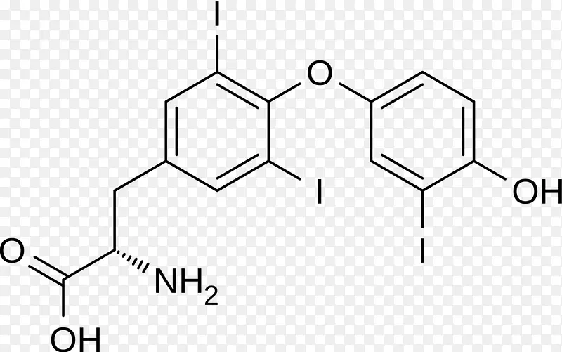 来曲唑分子芳香化酶雌激素-甲状腺