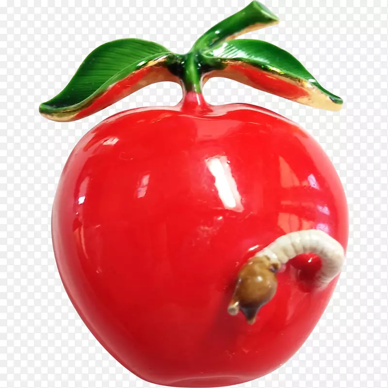 巴巴多斯樱桃番茄配套水果蔓越莓圣诞饰品-番茄