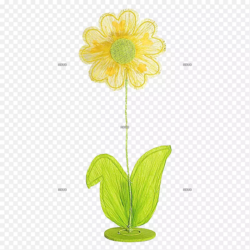普通向日葵花卉设计切花花盆花