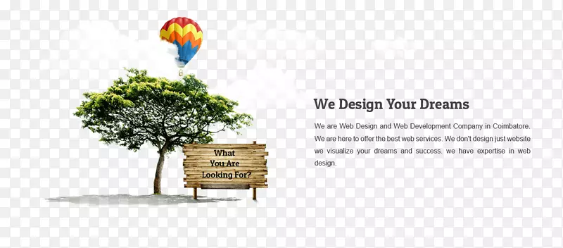 云梦想-网页设计？web开发？标识设计&Coimbatore web Developer中的seo公司-web设计