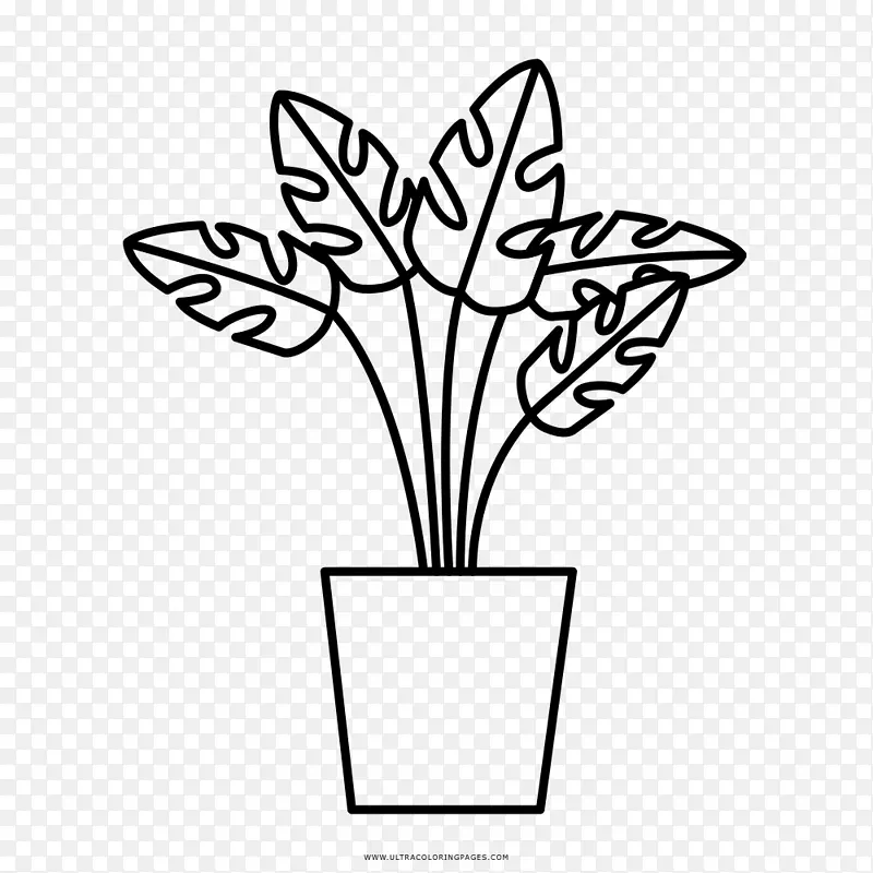 药用植物绘画着色书叶植物