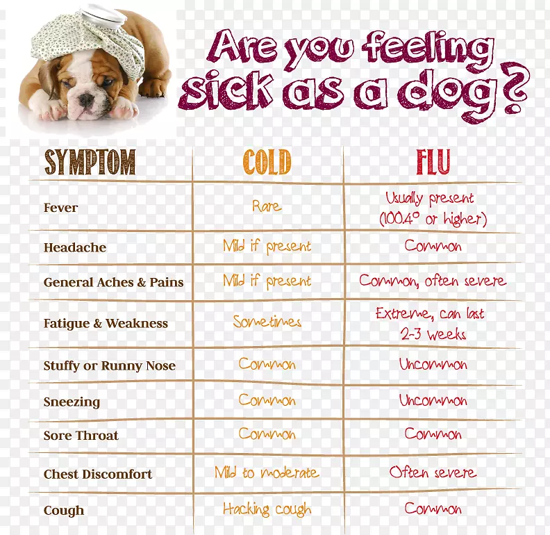 感冒流感季节鼻窦感染传染-普通感冒