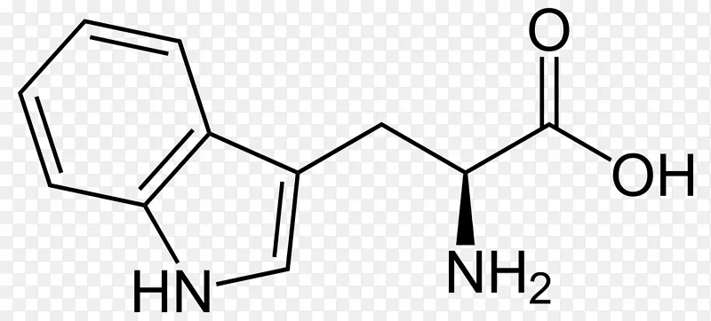 5-羟色胺氨基酸结构侧链-5-羟色胺