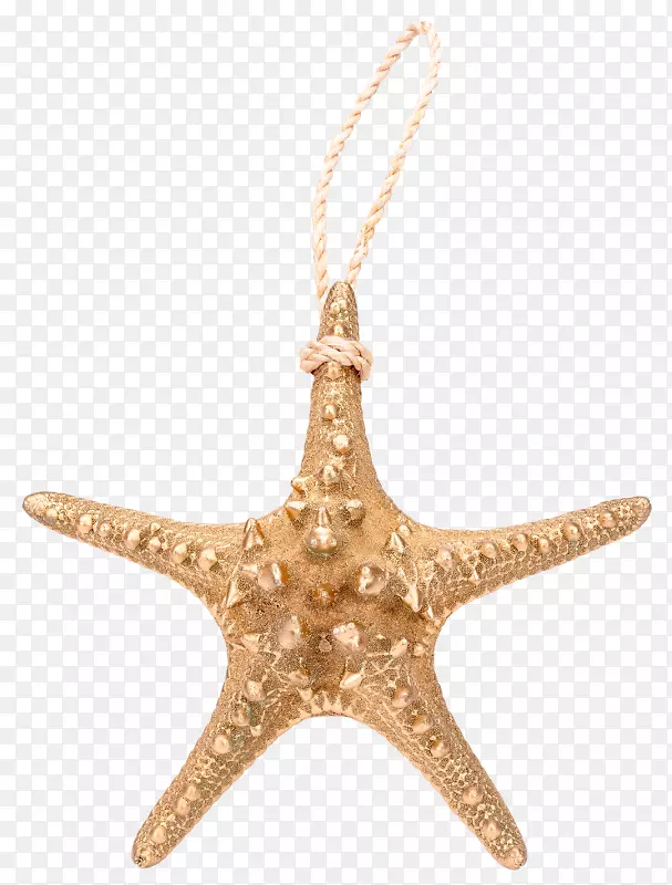 海星魅力和吊坠圣诞装饰品-海星