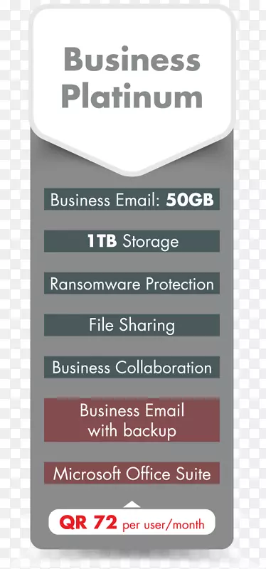 卡塔尔电子邮件微软办公室365-业务