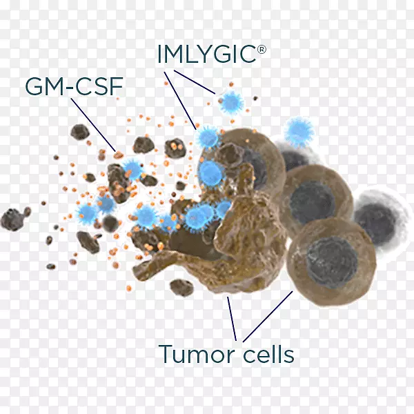 肿瘤病毒黑色素瘤-癌细胞的治疗