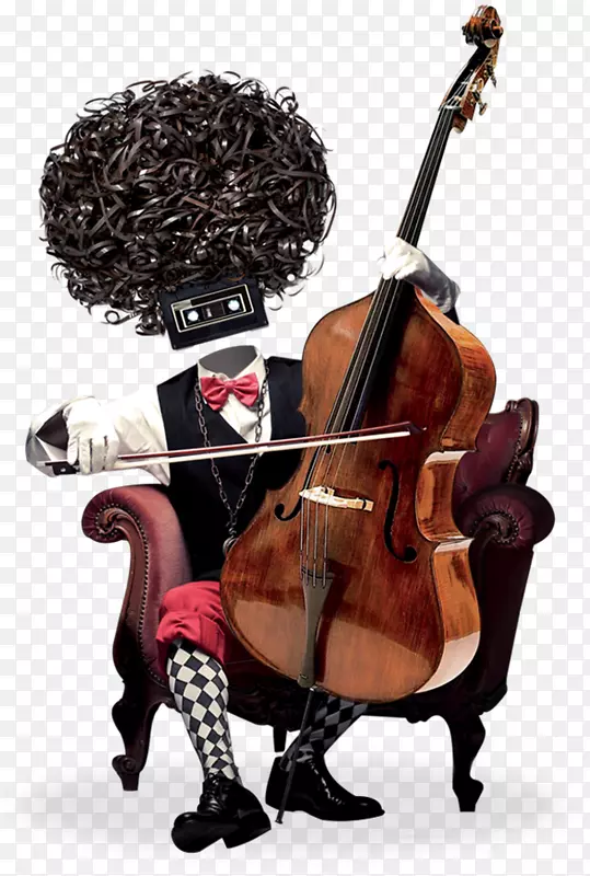 低音小提琴，爵士中提琴-小提琴