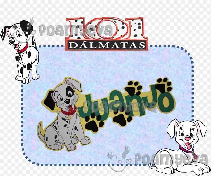 达尔马提亚犬狗培育非运动团体挂牌犬
