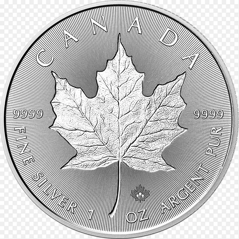 加拿大银枫叶加拿大金枫叶金银金币