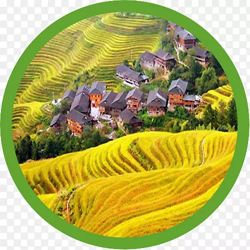 龍脊梯田酒店中秋节旅游景点-米台