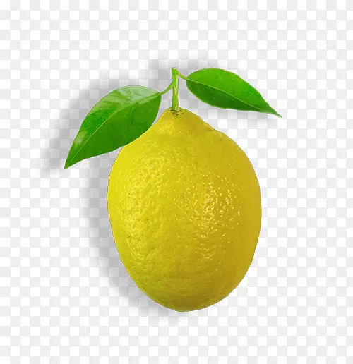 波斯酸橙甜柠檬主打柠檬