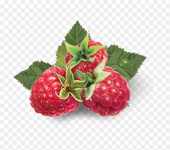 草莓砧木摄影红树莓食品-草莓