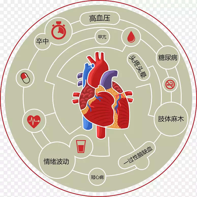 心脏心血管疾病急性心肌梗死-心脏