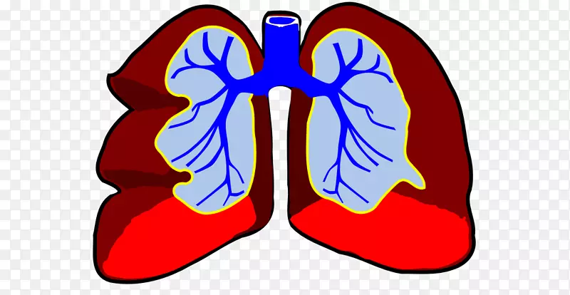肺呼吸系统循环系统剪辑艺术-跳跃