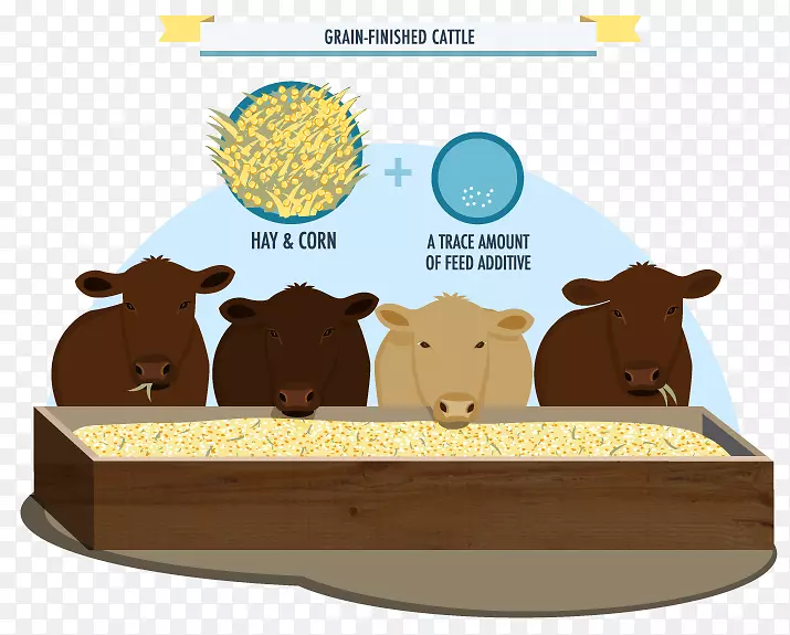 牛食卡通.食品信息图表