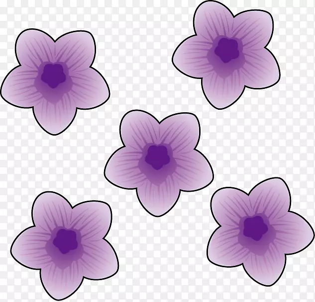 紫罗兰花瓣紫色皇族-无紫色