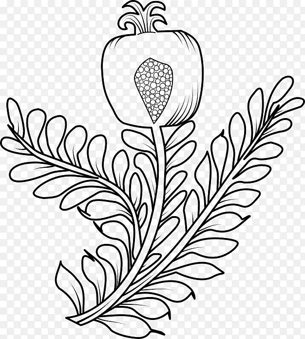 艺术纹章花卉设计植物茎夹艺术石榴载体