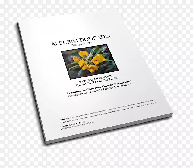品牌字体-Alecrim