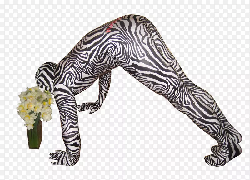 斑马变形西服豹子动物图案斑马