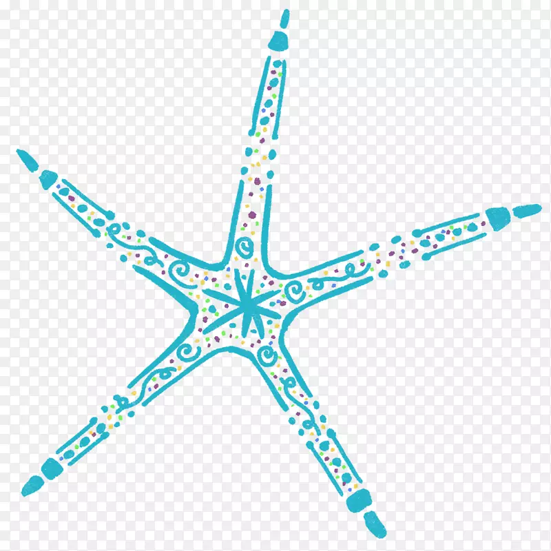 海星棘皮动物线点-海星
