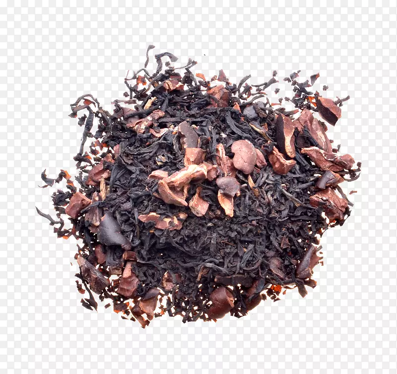尼尔吉里茶大红泡青茶植物乌龙茶