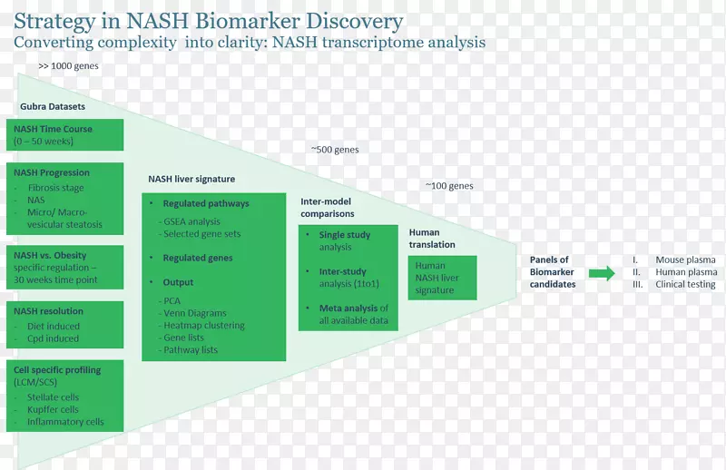 非酒精性脂肪肝生物标志物脂肪性肝炎-纳什