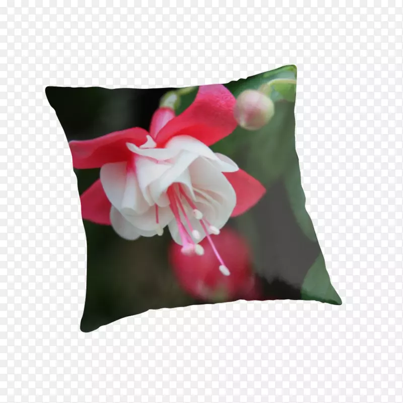 垫枕开花植物-枕头