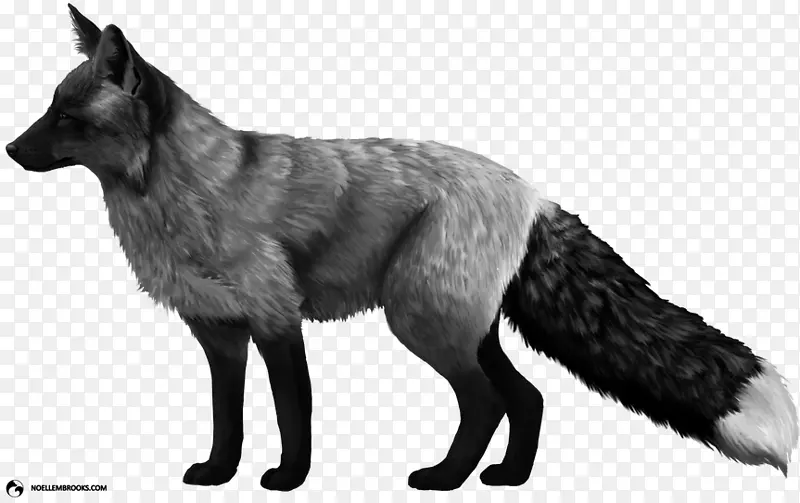 驯化红狐北极狐银狐狗北极狐