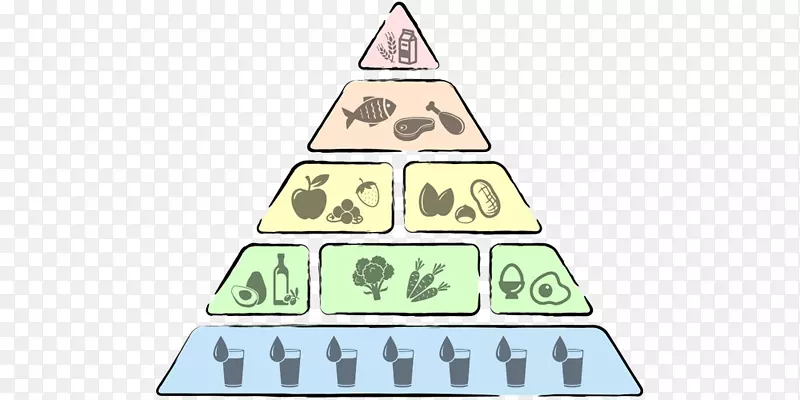 低碳水化合物饮食金字塔营养碳水化合物