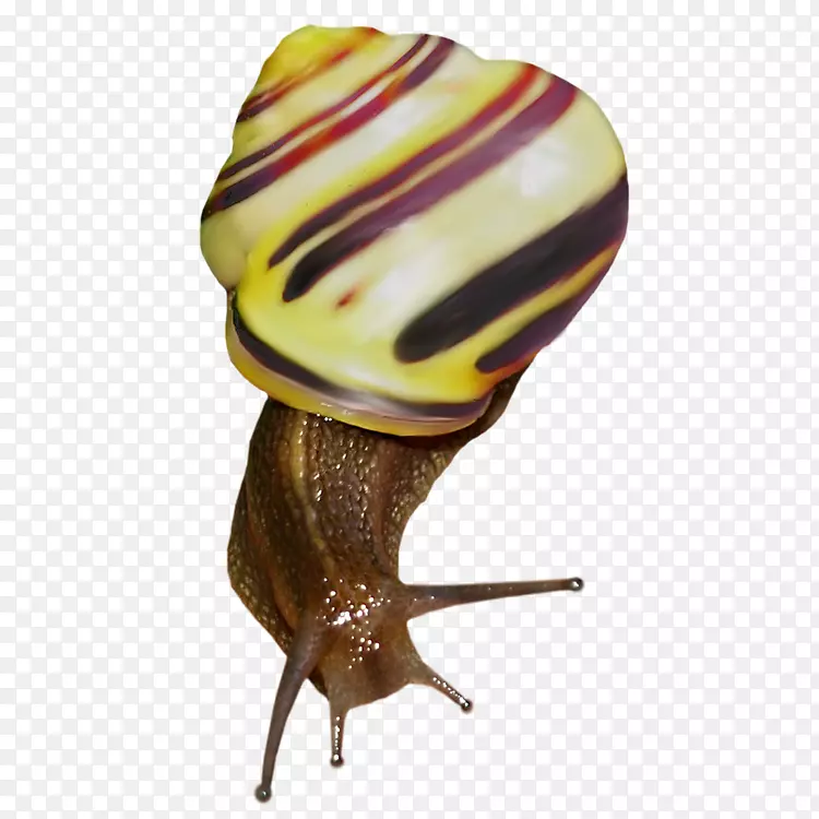 蜗牛光栅图形剪辑艺术-蜗牛