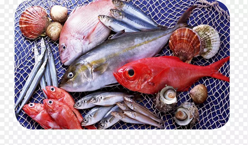 鱼、海鲜、大西洋鲑鱼-鱼