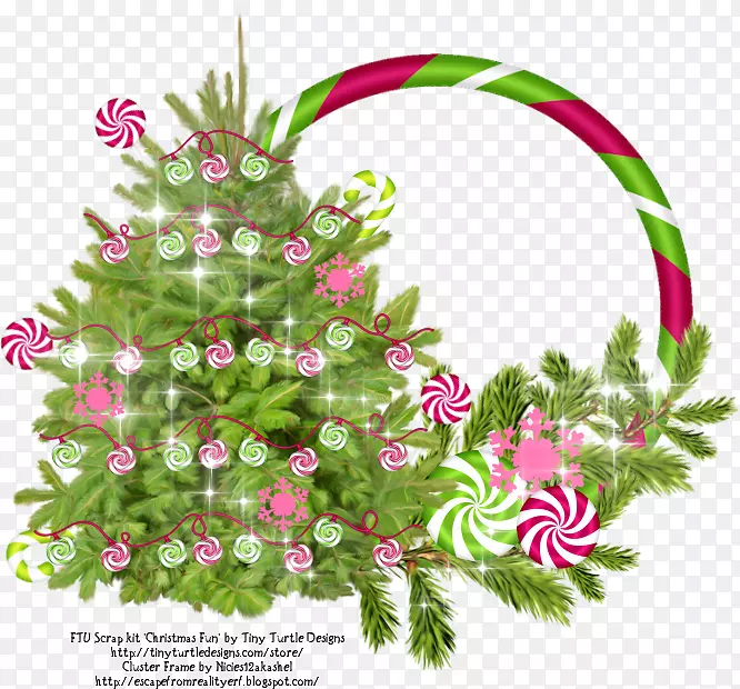 花卉设计圣诞装饰松叶-圣诞节