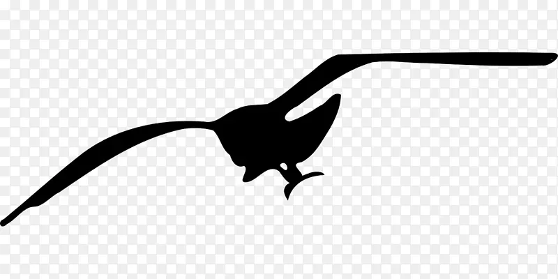 海鸥鸟夹艺术-鸟