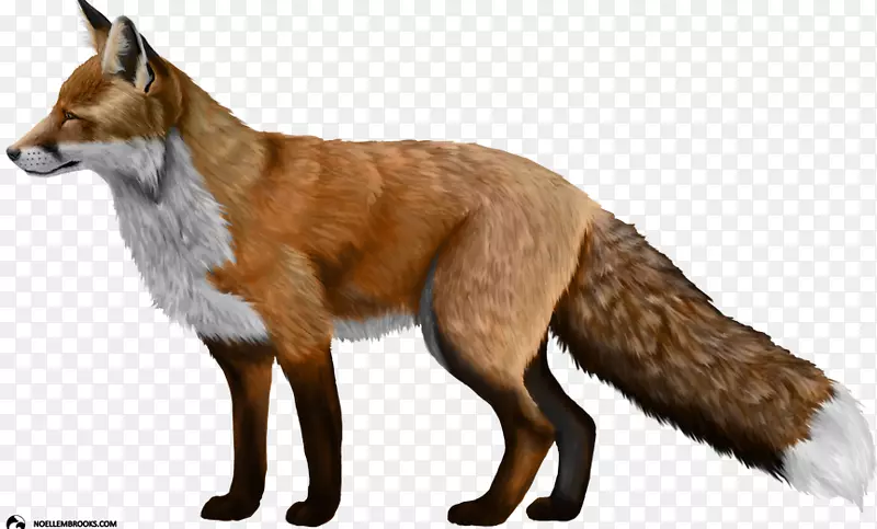驯化红狐银狐剪贴画红狐