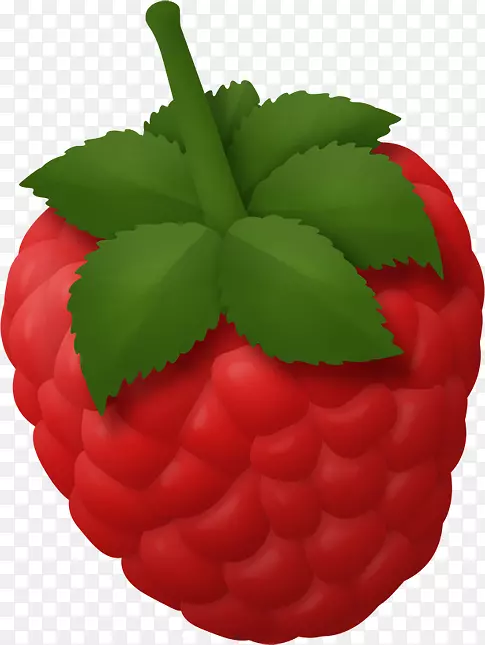 草莓水果食品蔬菜剪贴画水果和蔬菜