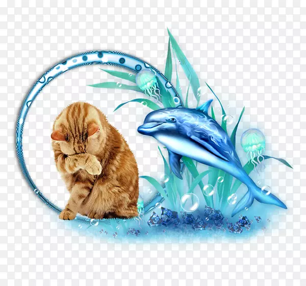 装饰边摄影海豚剪贴画-海豚