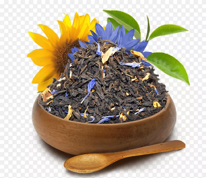 尼尔吉里茶甸红花盆茶树-茶